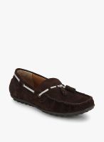 Salt N Pepper Brown Moccasins