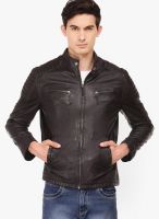 Teakwood Solid Black Leather Jacket