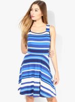 Dorothy Perkins Blue Colored Striped Skater Dress