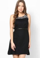 Ginger By Lifestyle Black Color Block Collar Dress