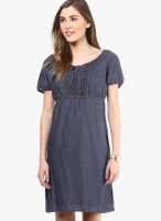 s.Oliver Blue Colored Solid Shift Dress