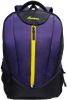 Cosmus_Dzire_Purple_36_L_Large_Back.jpg