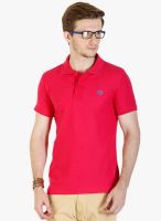 Duke Maroon Solid Polo T-Shirt