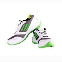 Centto 5017X Cricket Shoes(White, Green)