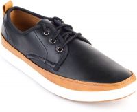 Harry Hill Holland Sneakers(Black)