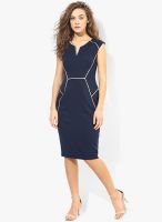 Dorothy Perkins Navy Blue Colored Solid Bodycon Dress