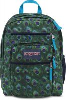 JanSport Big Student 34 L Backpack(Multi Peacock)