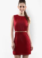 Miss Chase Maroon Colored Solid Bodycon Dress