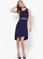 NOI Navy Blue Colored Solid Shift Dress
