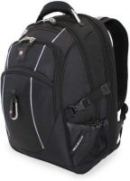 Swiss Gear Scansmart 30 L Backpack(Black)