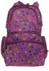 Polo_Class_Ted_91_2_5_L_Backpack_Pn.jpg