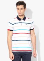 Arrow Sports White Regular Fit Polo T-Shirt