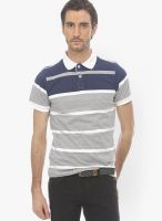 Basics Grey Striped Polo T-Shirts
