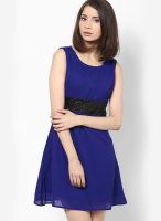 Calgari Blue Colored Solid Skater Dress
