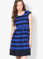 Harpa Blue Colored Printed Skater Dress