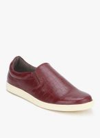 Knotty Derby Justin Slip On Maroon Loafers