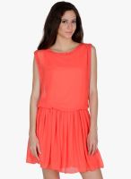 Mayra Peach Colored Solid Skater Dress