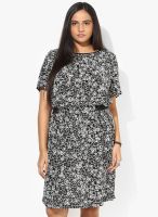 New Look Black Printed Shift Dress