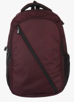 Alessio69 Maroon Polyester Backpack