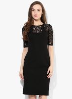 Dorothy Perkins Black Colored Embroidered Bodycon Dress