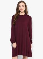 Dorothy Perkins Maroon Colored Solid Shift Dress
