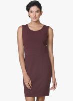 Kaaryah Wine Colored Solid Shift Dress