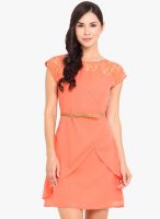 La Stella Peach Colored Solid Shift Dress