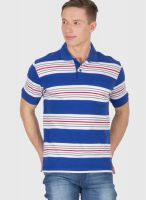 Wilkins & Tuscany Blue Striped Polo T-Shirts