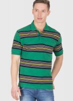 Wilkins & Tuscany Green Striped Polo T-Shirts