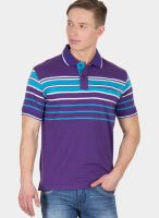 Wilkins & Tuscany Purple Striped Polo T-Shirts