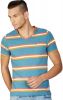 American_Swan_Striped_Men_s_V_neck_.jpg