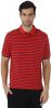 Fahrenheit_Striped_Men_s_Polo_Neck__5.jpg