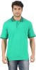Furore_Solid_Men_s_Polo_Neck_T_Shir_12.jpg