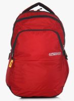 American Tourister Encarta Red Laptop Backpack