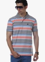 Cotton County Premium Peach Striped Polo T-Shirts