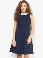 Dorothy Perkins Navy Blue Colored Solid Skater Dress