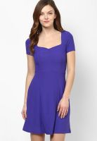 Dorothy Perkins Purple Colored Solid Shift Dress