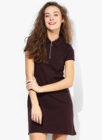 Dorothy Perkins Wine Colored Solid Shift Dress
