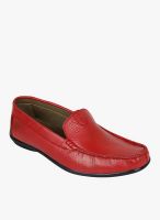Guava Maroon Loafers