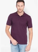 Highlander Wine Solid Polo TShirts