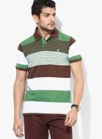 Izod Green Striped Polo T-Shirts