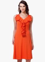 Kaaryah Orange Solid Shift Dress