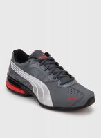 Puma Tazon 5 Nm Grey Running Shoes