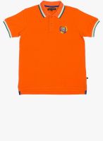 Wilkins & Tuscany Orange Polo Shirt