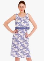 109F Blue Printed Shift Dress