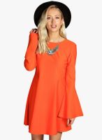 Boohoo Bell Sleeve Fit And Flare Dress