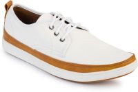 Harry Hill Holland Sneakers(White)