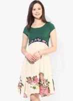 JC Collection Green Colored Printed Skater Dress