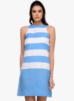 Kaaryah Blue Colored Printed Shift Dress