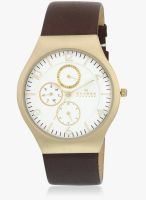 Skagen Skagen Grenen Silver/Brown Analog Watch